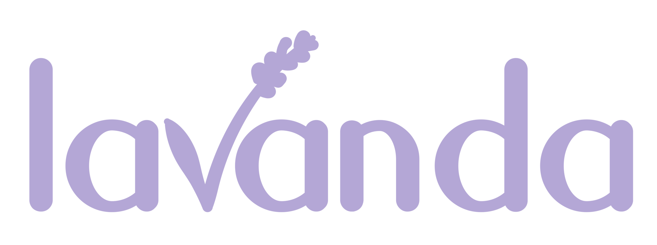 Lavanda